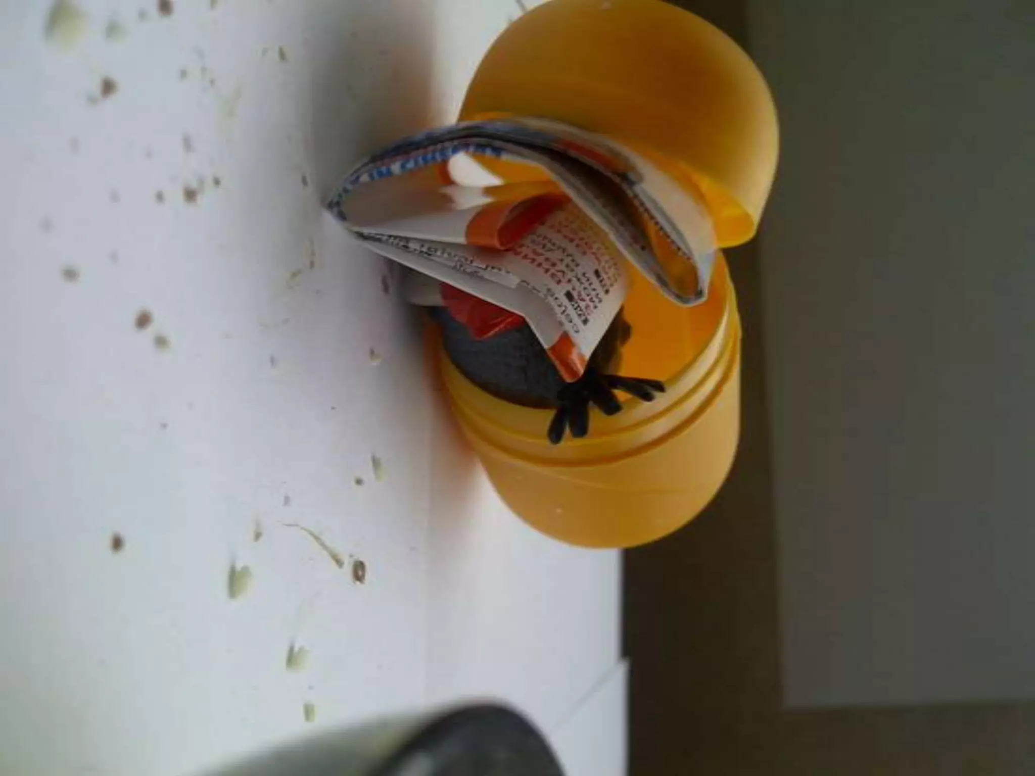 Summer project part 2