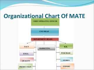 Organizational Chart Of MATE   