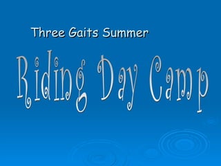 Three Gaits Summer Riding Day Camp 