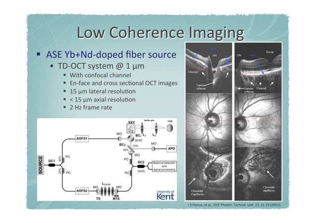 Low Coherence Interferometry From Sensor Multiplexing To Biomedical