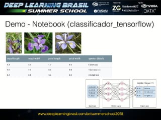 Demo - Notebook (classificador_tensorflow)
 