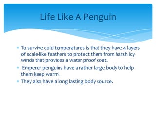 Summers Emperor Penguins | PPT