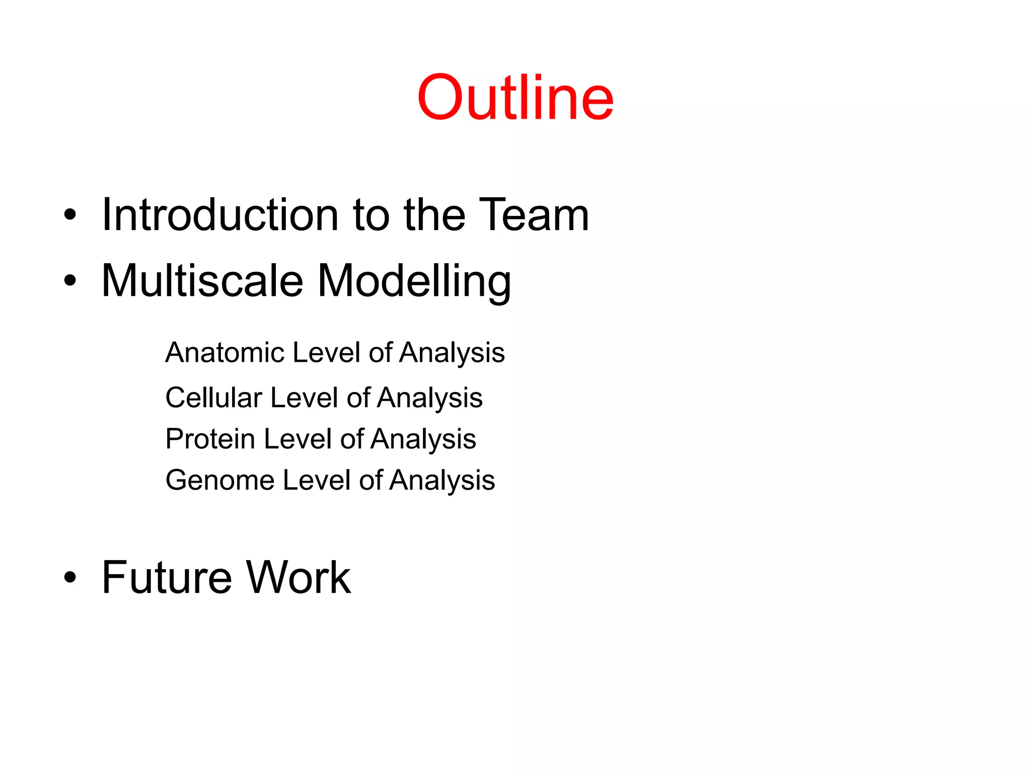 Outline
• Introduction to the Team
• Multiscale Modelling
     Anatomic Level of Analysis
     Cellular Level of Analysis
     Protein Level of Analysis
     Genome Level of Analysis


• Future Work
 