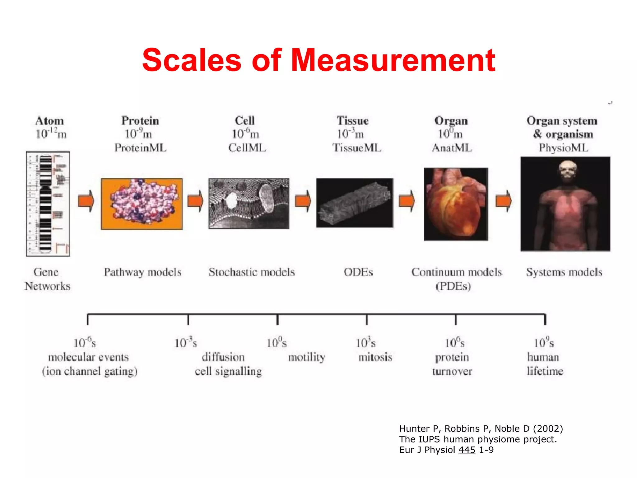 Scales of Measurement




               Hunter P, Robbins P, Noble D (2002)
               The IUPS human physiome project.
               Eur J Physiol 445 1-9
 