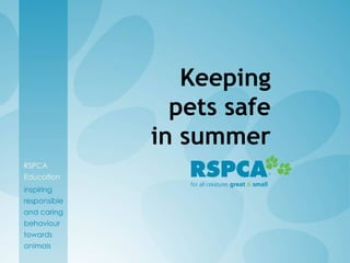 Keeping
pets safe
in summer
 