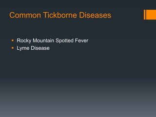Common Tickborne Diseases
 Rocky Mountain Spotted Fever
 Lyme Disease
 