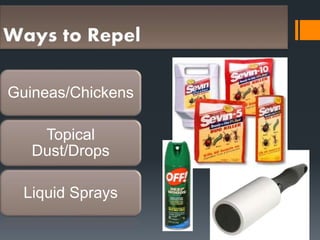 Guineas/Chickens
Topical
Dust/Drops
Liquid Sprays
 