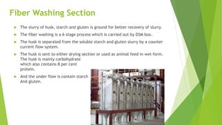 Fiber Washing Section
 The slurry of husk, starch and gluten is ground for better recovery of slurry.
 The fiber washing is a 6 stage process which is carried out by DSM box.
 The husk is separated from the soluble starch and gluten slurry by a counter
current flow system.
 The husk is sent to either drying section or used as animal feed in wet form.
The husk is mainly carbohydrate
which also contains 8 per cent
protein.
 And the under flow is contain starch
And gluten.
 