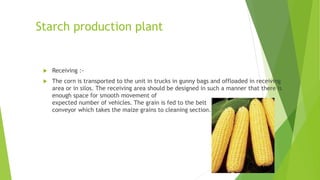 Starch production plant
 Receiving :-
 The corn is transported to the unit in trucks in gunny bags and offloaded in receiving
area or in silos. The receiving area should be designed in such a manner that there is
enough space for smooth movement of
expected number of vehicles. The grain is fed to the belt
conveyor which takes the maize grains to cleaning section.
 