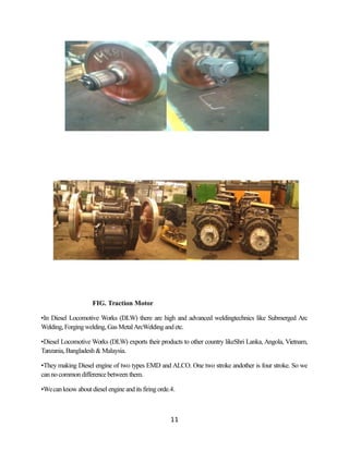 Summer traning dlw repoart | PDF