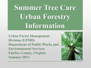 Urban Forestry
Information
Urban Forest Management
Division (UFMD)
Department of Public Works and
Environmental Services
Fairfax County, Virginia
Summer 2013
Summer Tree Care
 