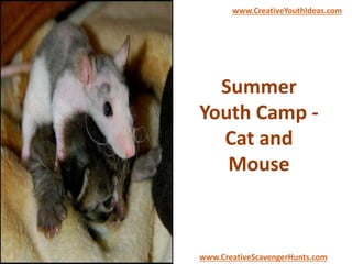 Summer
Youth Camp -
Cat and
Mouse
www.CreativeYouthIdeas.com
www.CreativeScavengerHunts.com
 