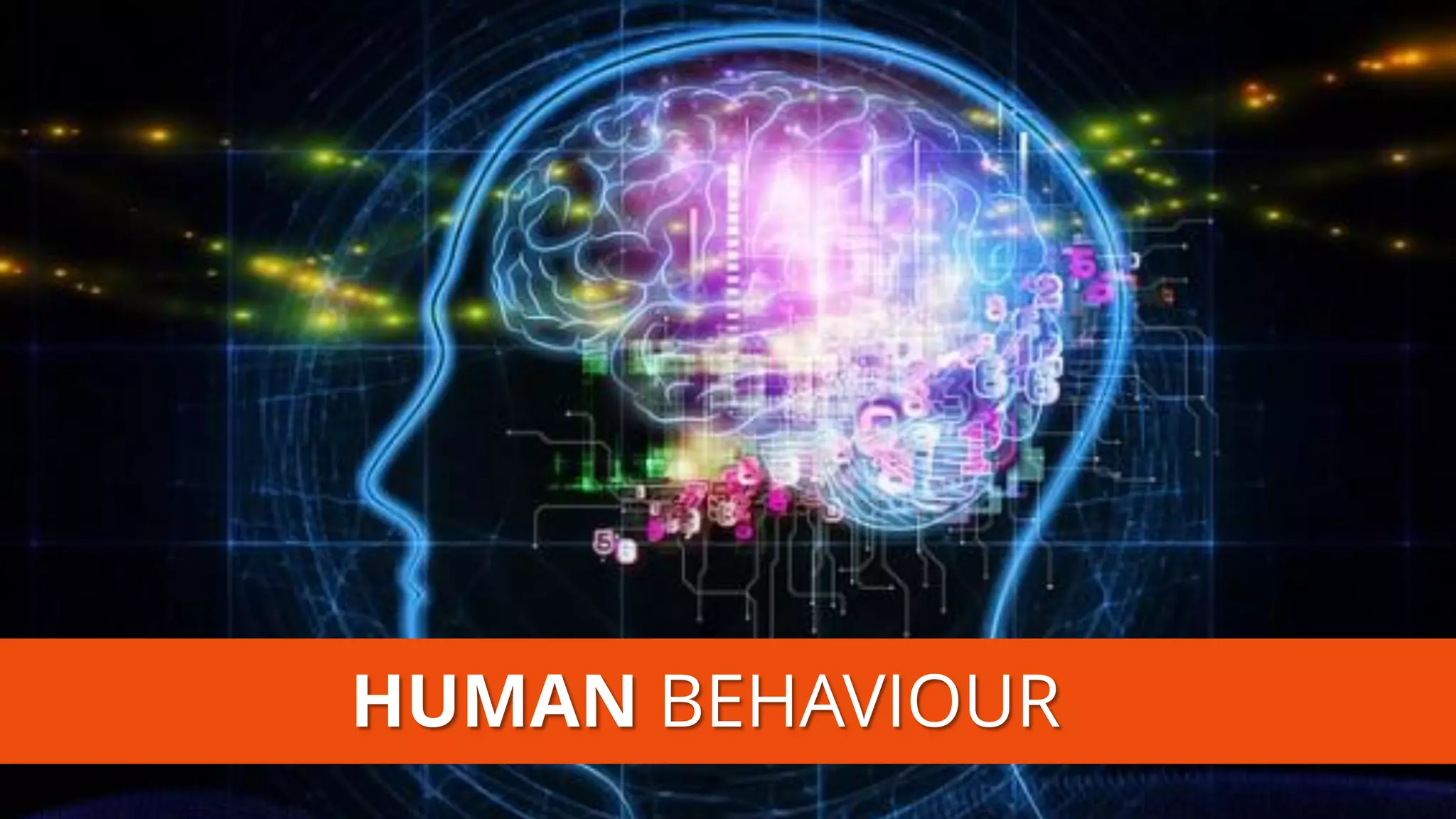HUMANBEHAVIOUR  