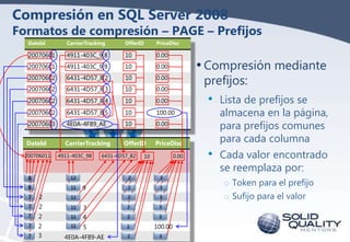 Compresión en SQL Server 2008

Formatos de compresión – PAGE – Prefijos
DateId

CarrierTracking

OfferID

PriceDisc

20070...