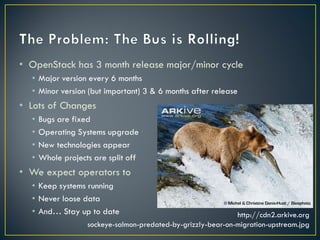 • OpenStack has 3 month release major/minor cycle
  • Major version every 6 months
  • Minor version (but important) 3 & 6 months after release
• Lots of Changes
  •   Bugs are fixed
  •   Operating Systems upgrade
  •   New technologies appear
  •   Whole projects are split off
• We expect operators to
  • Keep systems running
  • Never loose data
  • And… Stay up to date                                      http://cdn2.arkive.org
                   sockeye-salmon-predated-by-grizzly-bear-on-migration-upstream.jpg
 