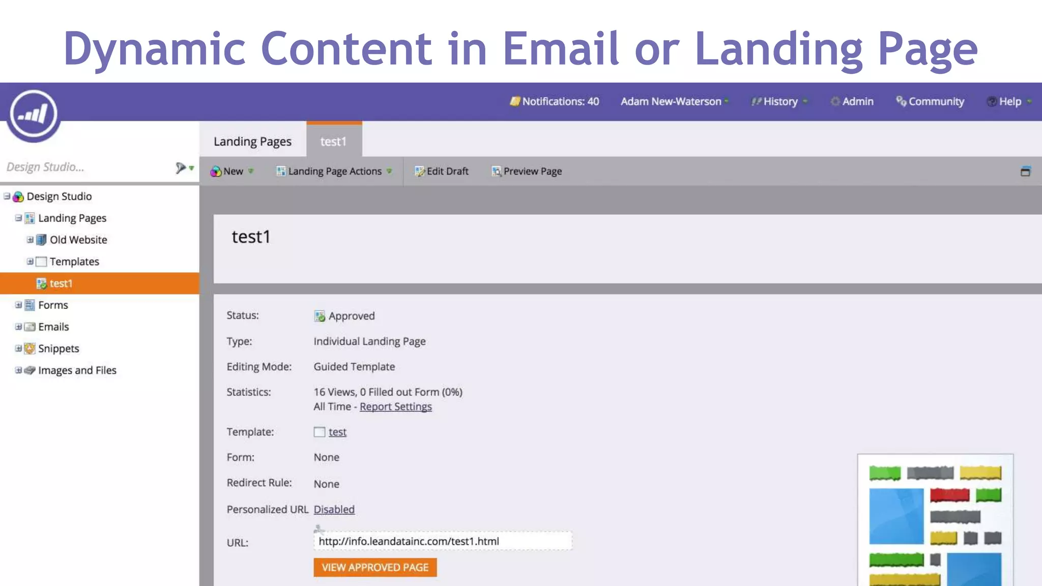 Dynamic Content in Email or Landing Page
 