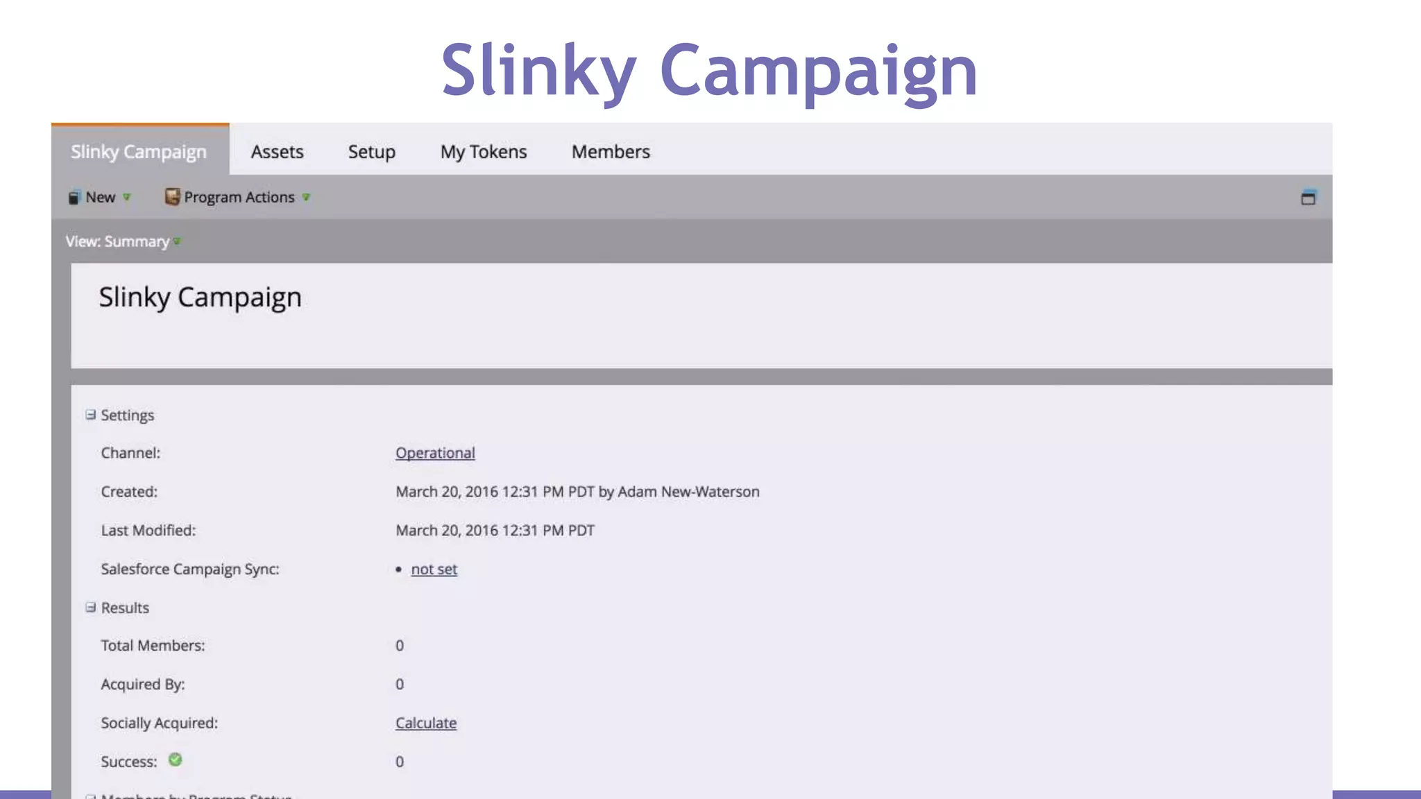 Slinky Campaign
 