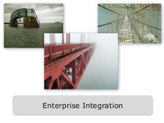 Enterprise Integration
 