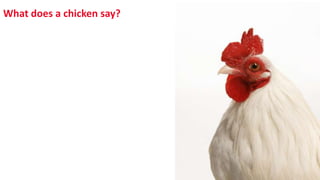 What does a chicken say?
 