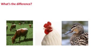 What’s the difference?
 