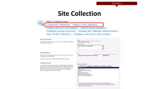 Site Collection
 