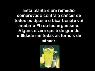 Esta planta é um remédio
 comprovado contra o câncer de
todos os tipos e o bicarbonato vai
  mudar o Ph do teu organismo.
  Alguns dizem que é de grande
 utilidade em todas as formas de
              câncer.
 