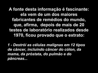 A fonte desta informação é fascinante:
      ela vem de um dos maiores
  fabricantes de remédios do mundo,
   que, afirma, depois de mais de 20
testes de laboratório realizados desde
   1970, ficou provado que o extrato:

1 - Destrói as células malignas em 12 tipos
de câncer, incluindo câncer do cólon, da
mama, da próstata, do pulmão e do
pâncreas...
 