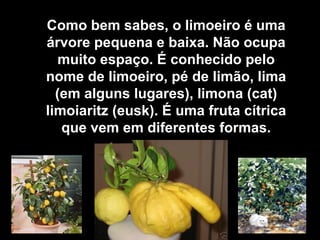 Como bem sabes, o limoeiro é uma
árvore pequena e baixa. Não ocupa
   muito espaço. É conhecido pelo
nome de limoeiro, pé de limão, lima
  (em alguns lugares), limona (cat)
limoiaritz (eusk). É uma fruta cítrica
   que vem em diferentes formas.
 