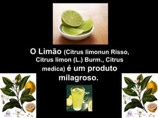 O Limão (Citrus limonun Risso,
 Citrus limon (L.) Burm., Citrus
   medica) é um produto
         milagroso.
 