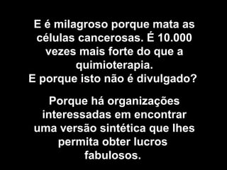 E é milagroso porque mata as
 células cancerosas. É 10.000
   vezes mais forte do que a
         quimioterapia.
E porque isto não é divulgado?
   Porque há organizações
 interessadas em encontrar
uma versão sintética que lhes
    permita obter lucros
         fabulosos.
 