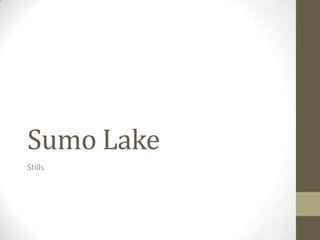 Sumo Lake
Stills
 