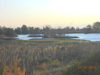 Sumpter.nemitz.2012.internship