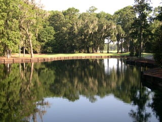 Sumpter.nemitz.2012.internship