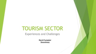 TOURISM SECTOR
Experiences and Challenges
David Sumpter
Shorelinez
 