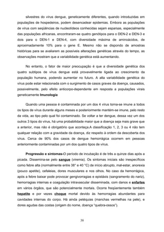 silvestres do vírus dengue, geneticamente diferentes, quando introduzidas em
populações de hospedeiros, podem desencadear epidemias. Embora as populações
de vírus com seqüências de nucleotídeos conhecidas sejam esparsas, especialmente
das populações africanas, encontraram-se quatro genótipos para o DEN-2 e DEN-3 e
dois para o DEN-1 e DEN-4, com diversidade máxima de aminoácidos, de
aproximadamente 10% para o gene E. Mesmo não se dispondo de amostras
históricas para se avaliarem as possíveis alterações genéticas através do tempo, as
observações mostram que a variabilidade genética está aumentando.

     No entanto, o fator de maior preocupação é que a diversidade genética dos
quatro subtipos de vírus dengue está provavelmente ligada ao crescimento da
população humana, podendo aumentar no futuro. A alta variabilidade genética do
vírus pode estar relacionada com o surgimento de casos graves da doença, causados,
possivelmente, pelo efeito anticorpo-dependente em resposta a populações virais
geneticamente Imunologia

     Quando uma pessoa é contaminada por um dos 4 vírus torna-se imune a todos
os tipos de vírus durante alguns meses e posteriormente mantém-se imune, pelo resto
da vida, ao tipo pelo qual foi contaminado. Se voltar a ter dengue, dessa vez um dos
outros 3 tipos do vírus, há uma probabilidade maior que a doença seja mais grave que
a anterior, mas não é obrigatório que aconteça.A classificação 1, 2, 3 ou 4 não tem
qualquer relação com a gravidade da doença, diz respeito à ordem da descoberta dos
vírus. Cerca de 90% dos casos de dengue hemorrágica ocorrem em pessoas
anteriormente contaminadas por um dos quatro tipos de vírus.

     Progressão e sintomas-O período de incubação é de três a quinze dias após a
picada. Dissemina-se pelo sangue (viremia). Os sintomas iniciais são inespecíficos
como febre alta (normalmente entre 38° e 40 °C) de início abrupto, mal-estar, anorexia
(pouco apetite), cefaleias, dores musculares e nos olhos. No caso da hemorrágica,
após a febre baixar pode provocar gengivorragias e epistáxis (sangramento do nariz),
hemorragias internas e coagulação intravascular disseminada, com danos e enfartes
em vários órgãos, que são potencialmente mortais. Ocorre freqüentemente também
hepatite e por vezes choque mortal devido às hemorragias abundantes para
cavidades internas do corpo. Há ainda petéquias (manchas vermelhas na pele), e
dores agudas das costas (origem do nome, doença “quebra-ossos”).



                                          38
 