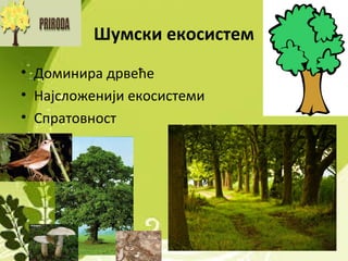 Шумски екосистем
• Доминира дрвеће
• Најсложенији екосистеми
• Спратовност
 