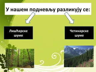 У нашем подневљу разликују се:
Лишћарске
шуме
Четинарске
шуме
 