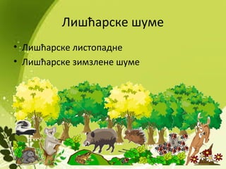 Лишћарске шуме
• Лишћарске листопадне
• Лишћарске зимзлене шуме
 