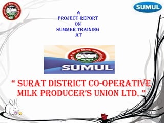A Project report  on  summer training  at “  surat district co-operative milk producer’s union ltd. ” 