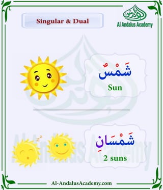 Al-AndalusAcademy.com
Singular & Dual
Singular & Dual
ٌ
‫س‬ْ‫م‬َ‫ش‬
Sun
ِ‫ان‬ َ‫س‬ْ‫م‬َ‫ش‬
2 suns
 