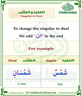 Al-AndalusAcademy.com
ُ
‫د‬ َ
‫ر‬ ْ
‫ف‬ ُ
‫الم‬
‫ى‬ َّ
‫ن‬ َ
‫ث‬ ُ
‫الم‬ Singular
Singular
Dual
Dual
Singular & Dual
Singular & Dual
‫ى‬ َّ
‫ن‬ َ
‫ث‬ ُ
‫الم‬ َ
‫و‬ ُ
‫د‬ َ
‫ر‬ ْ
‫ف‬ ُ
‫الم‬
For example
To change the singular to dual
We add "‫ان‬" in the end
ٌ
‫س‬ْ‫م‬َ‫ش‬
Sun
2 suns
ِ‫ان‬ َ‫س‬ْ‫م‬َ‫ش‬
 