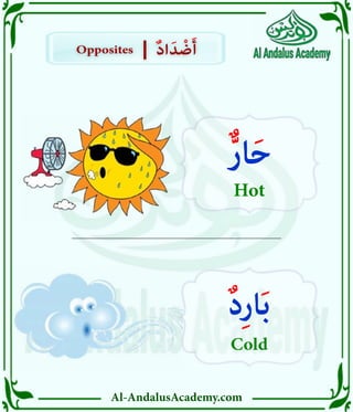 Al-AndalusAcademy.com
Opposites
Opposites ٌ‫د‬‫ا‬َ‫د‬ ْ
‫ض‬َ‫أ‬
ٌ‫د‬‫ا‬َ‫د‬ ْ
‫ض‬َ‫أ‬
|
|
ٌّ‫ر‬‫ا‬َ‫ح‬
Hot
ٌ‫د‬ِ‫ر‬‫ا‬َ‫ب‬
Cold
 