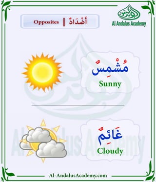 Al-AndalusAcademy.com
Opposites
Opposites ٌ‫د‬‫ا‬َ‫د‬ ْ
‫ض‬َ‫أ‬
ٌ‫د‬‫ا‬َ‫د‬ ْ
‫ض‬َ‫أ‬
|
|
ٌ
‫س‬ِ‫م‬ْ‫ش‬ُ‫م‬
Sunny
ٌ‫م‬ِ‫ئ‬‫ا‬َ‫غ‬
Cloudy
 
