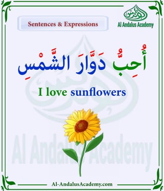Al-AndalusAcademy.com
Sentences & Expressions
Sentences & Expressions
ِ
‫س‬ْ‫م‬َّ‫الش‬ َ‫ر‬‫ا‬َّ‫و‬َ‫د‬ ُّ
‫ب‬ِ‫ح‬ُ‫أ‬
I love sunflowers
 