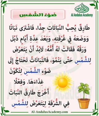 Al-AndalusAcademy.com
‫ًا‬‫ت‬‫ا‬َ‫ب‬َ‫ن‬ ‫ى‬َ َ
‫رَت‬ْ‫اش‬َ‫ف‬ ،‫ا‬ًّ‫د‬ِ‫ج‬ ِ
‫َات‬‫ت‬‫ا‬َ‫ب‬َّ‫ن‬‫ال‬ ُّ
‫ب‬ِ‫ح‬ُ‫ي‬ ٌ
‫ِق‬‫ر‬‫ا‬َ‫ط‬
َ
‫ل‬ُ‫ب‬َ‫ذ‬ ٍ‫ام‬َّ‫ي‬َ‫أ‬ ِ‫ة‬َّ‫د‬ِ‫ع‬ َ‫د‬ْ‫ع‬َ‫ب‬َ‫و‬ ،ِ‫ه‬ِ‫ت‬َ‫ف‬ْ‫ر‬ُ‫غ‬ ِ
‫يِف‬ ُ‫ه‬َ‫ع‬ َ‫ض‬َ‫و‬َ‫و‬
َ
‫ض‬َّ‫ر‬َ‫ع‬َ‫ت‬َ‫ي‬ ْ‫ن‬َ‫أ‬ َّ‫د‬ُ‫ب‬ َ
‫اَل‬ :ُ‫ه‬ُّ‫م‬ُ‫أ‬ ُ‫ه‬َ‫ل‬ ْ
‫ت‬َ‫ل‬‫ا‬َ‫ق‬َ‫ف‬ ُ‫ه‬ُ‫ق‬َ‫ر‬َ‫و‬
َ
‫ىَل‬ِ‫إ‬ ُ‫اج‬َ‫ت‬ْ‫ح‬َ‫ت‬ ُ
‫َات‬‫ت‬‫ا‬َ‫ب‬َّ‫ن‬‫ال‬َ‫ف‬ ،َ‫و‬ُ‫م‬ْ‫ن‬َ‫ي‬ ‫ى‬َّ‫ت‬َ‫ح‬ ِ
‫س‬ْ‫م‬ َّ‫لش‬ِ‫ل‬
َ‫ن‬ِّ‫و‬َ‫ك‬ُ‫ت‬ِ‫ل‬ ِ
‫س‬ْ‫م‬ َّ‫الش‬ ِ‫ء‬ْ‫و‬ َ‫ض‬ 						
ً
‫اًل‬ْ‫ع‬ِ‫ف‬َ‫و‬ .‫ا‬َ‫ه‬َ‫ء‬‫ا‬َ‫ذ‬ِ‫غ‬ 							
َ
‫ات‬َ‫ب‬َّ‫ن‬‫ال‬ ُ
‫ِق‬‫ر‬‫ا‬َ‫ط‬ َ‫ج‬َ‫ر‬ْ‫خ‬َ‫أ‬ 							
ِ
‫س‬ْ‫م‬ َّ‫لش‬ِ‫ل‬ َ
‫ض‬َّ‫ر‬َ‫ع‬َ‫ت‬َ‫ي‬ِ‫ل‬ ِ‫ة‬َ‫ف‬ْ ُّ
‫الرُّش‬ ‫ي‬ِ‫ف‬ 			
ِ
‫س‬ ْ
‫م‬ َّ
‫الش‬ ُ
‫ء‬ ْ
‫و‬ َ
‫ض‬
 