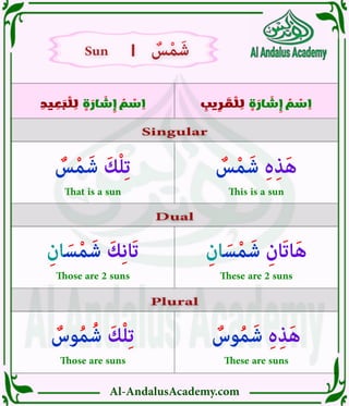 Al-AndalusAcademy.com
ِ
‫يب‬ ِ
‫ر‬ َ
‫ق‬ ْ
‫ل‬ ِ
‫ل‬ ٍ
‫ة‬ َ
‫ار‬ َ
‫ش‬ ِ
‫إ‬ ُ
‫م‬ ْ
‫س‬ ِ
‫ا‬
ِ
‫يد‬ ِ
‫ع‬ َ
‫ب‬ ْ
‫ل‬ ِ
‫ل‬ ٍ
‫ة‬ َ
‫ار‬ َ
‫ش‬ ِ
‫إ‬ ُ
‫م‬ ْ
‫س‬ ِ
‫ا‬
Singular
Singular
Dual
Dual
Plural
Plural
|
|
ٌ
‫س‬ْ‫م‬َ‫ش‬ ِ‫ہ‬ِ‫ذ‬َ‫ه‬
This is a sun
ِ‫ان‬ َ‫س‬ْ‫م‬َ‫ش‬ ِ‫َان‬‫ت‬‫ا‬َ‫ه‬
These are 2 suns
ٌ
‫وس‬ُ‫م‬َ‫ش‬ ِ‫ە‬ِ‫ذ‬َ‫ه‬
These are suns
ٌ
‫وس‬ُ‫م‬ُ‫ش‬ َ‫ك‬ْ‫ل‬ِ‫ت‬
Those are suns
ٌ
‫س‬ْ‫م‬َ‫ش‬ َ‫ك‬ْ‫ل‬ِ‫ت‬
That is a sun
ِ‫ان‬ َ‫س‬ْ‫م‬َ‫ش‬ َ‫ك‬ِ‫ن‬‫َا‬‫ت‬
Those are 2 suns
Sun
Sun ٌ
‫س‬ْ‫م‬َ‫ش‬
ٌ
‫س‬ْ‫م‬َ‫ش‬
 