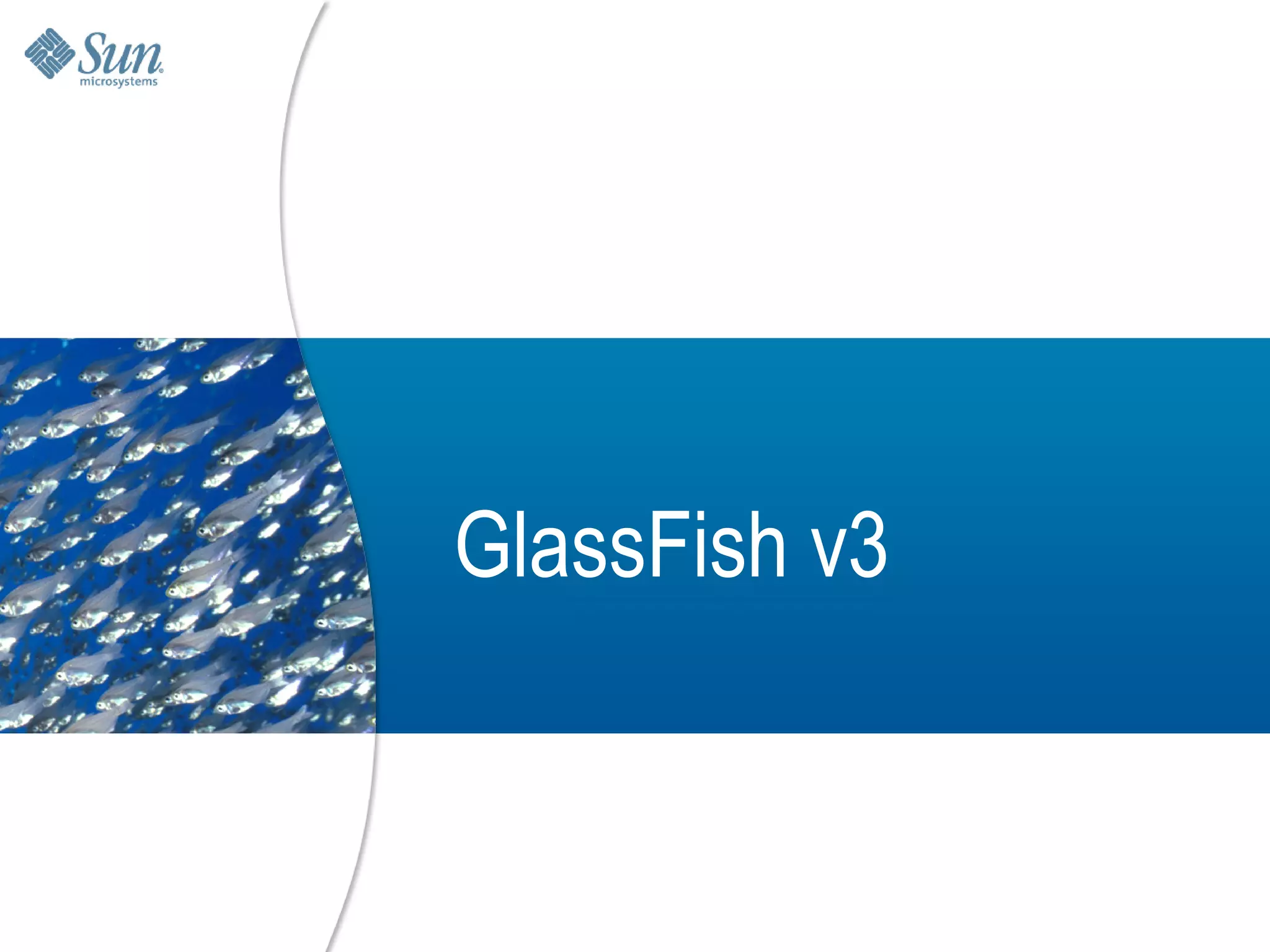 GlassFish v3


               23
 