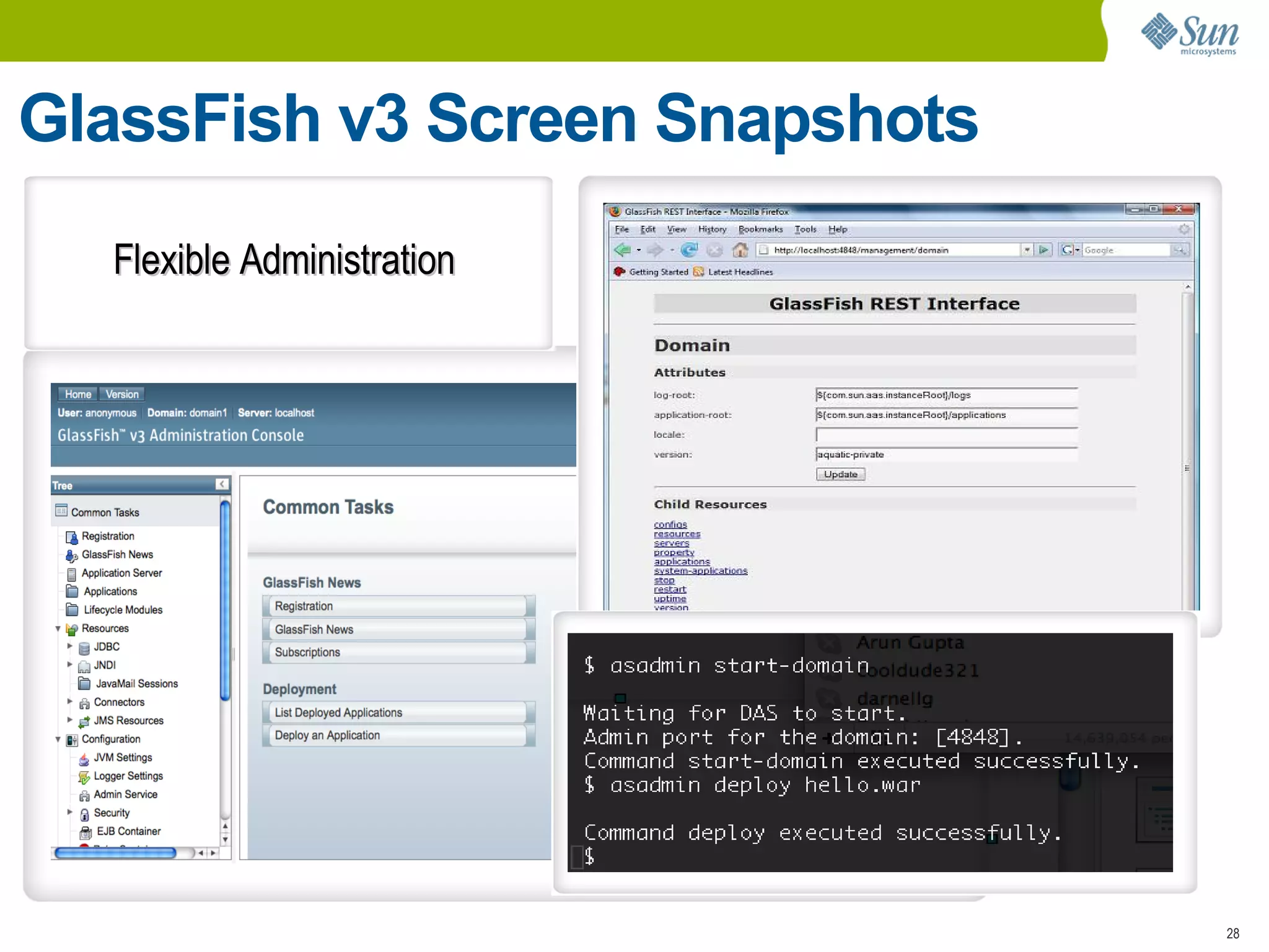 GlassFish v3 Screen Snapshots
  Flexible Administration




                                28
 