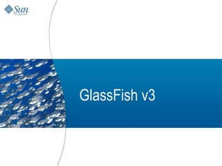 GlassFish v3


               23
 