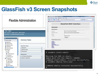 GlassFish v3 Screen Snapshots
  Flexible Administration




                                28
 